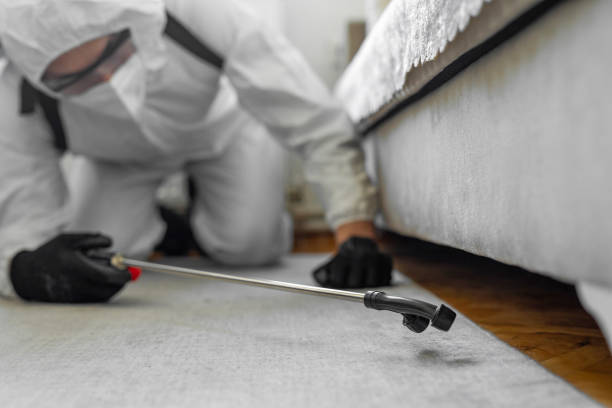 Professional Bed Bug Control technician working in Eastern Goleta Valley, CA